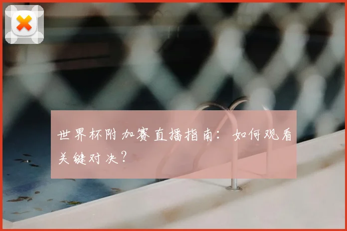 世界杯附加赛直播指南:如何观看关键对决?